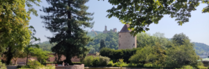Blick über den Schlosspark Weinheim mit historischem Turm und Burgruine Windeck – Ausgangspunkt für die Netzwerk- und Sparring-Wanderung für Führungskräfte und Unternehmer:innen